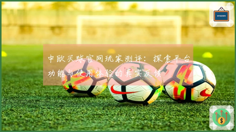 中欧买球官网玩家测评：探索平台功能与使用体验的真实反馈